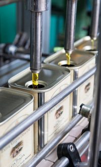 factory oil vinolio